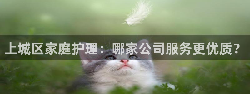 杏悦官网注册信息是什么样的