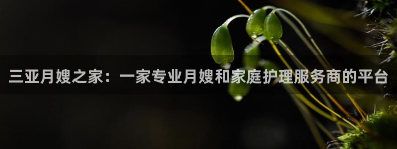 杏悦官网注册信息查询