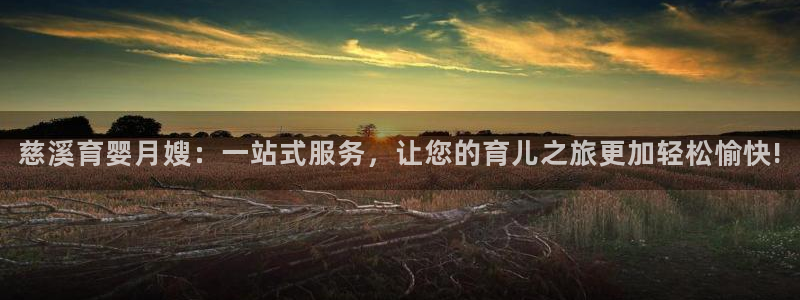 杏悦平台登录入口官网