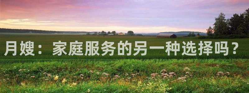 杏悦平台登录网址查询