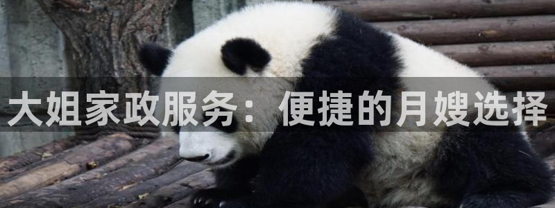 杏悦平台注册网址