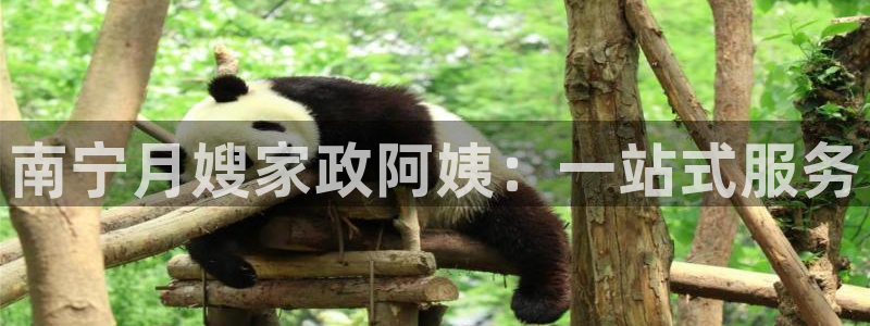 杏悦平台代理注册要钱吗