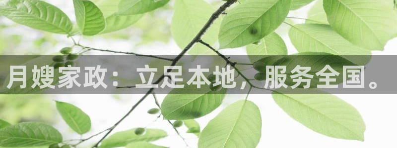 杏悦平台注册网址