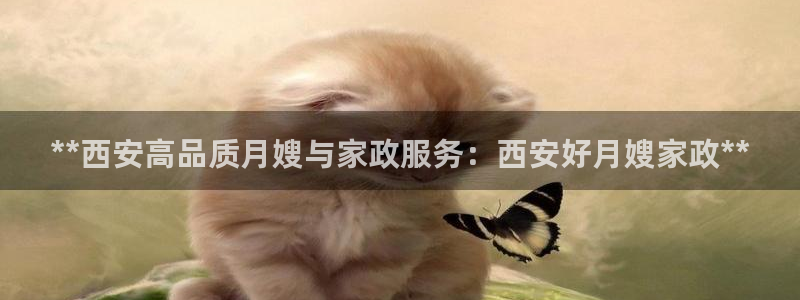 杏悦平台代理注册多少钱