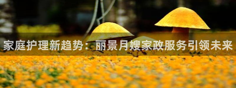 杏悦平台代理注册多少钱