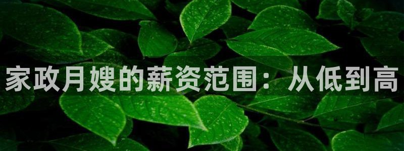 杏悦平台注册流程