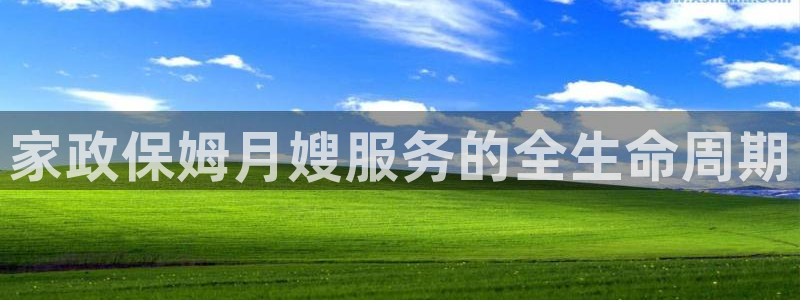 杏悦平台登录地址