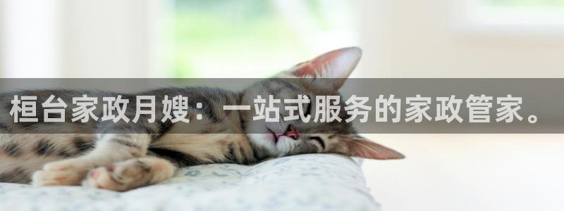 杏悦官网注册信息