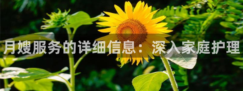 杏悦平台登录网址是什么