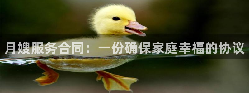 杏悦平台可靠吗可信吗是真的吗