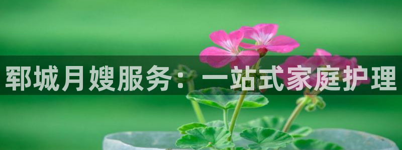 杏悦平台代理怎么样可靠吗