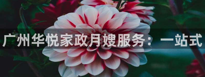 杏悦官网注册信息是什么样的