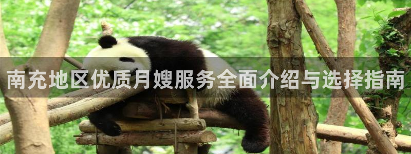 杏悦平台代理怎么赚钱的