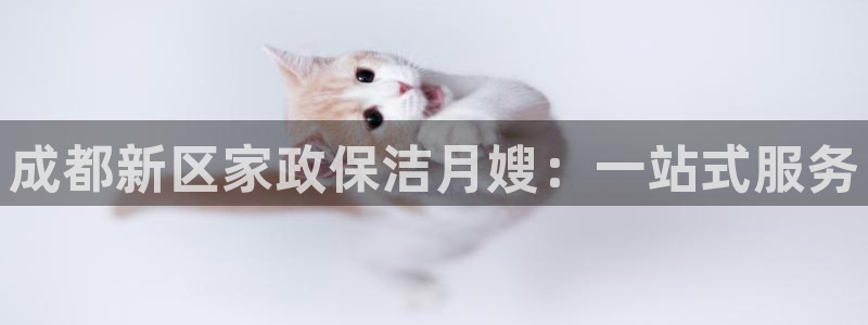 杏悦平台代理怎么样啊