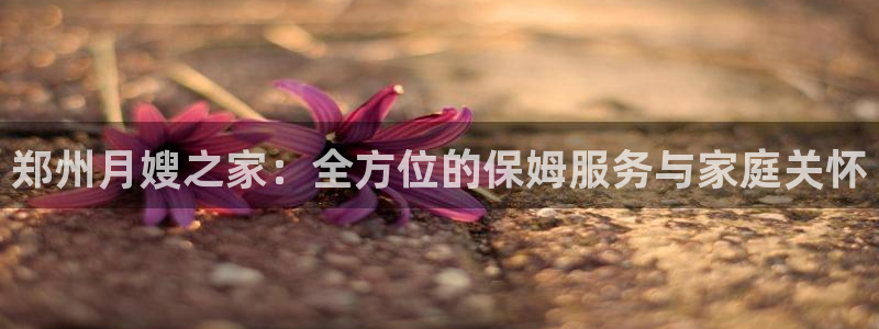 杏悦平台线路测速