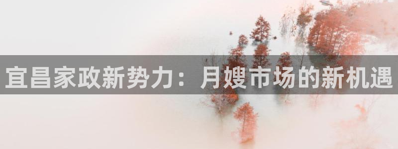 杏悦平台登录地址是什么